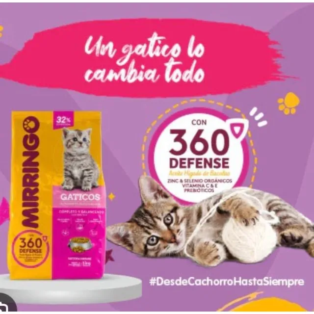Mirringo Gatito De 1kilo Solo Por Bulto