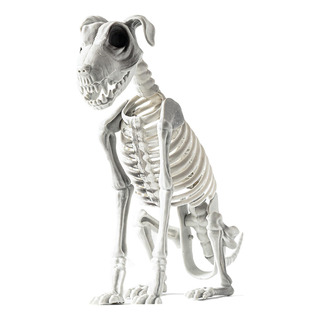 Perro Esqueleto De Halloween Esqueleto De Perro Halloween De Perro Esqueleto De Halloween Esqueleto De Perro Halloween De