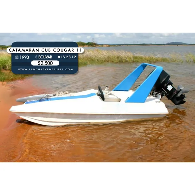 Catamaran Cub Cougar 11 Lv2812