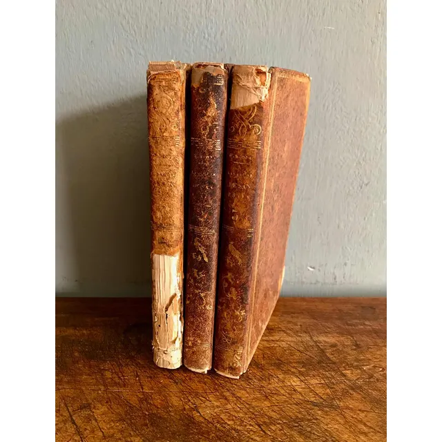 Antiguo Libro Las Aguas De San Ronan Año 1841 Walter Scott !