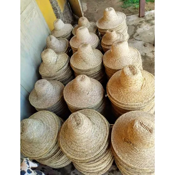 Sombreros Playeros De Moriche 