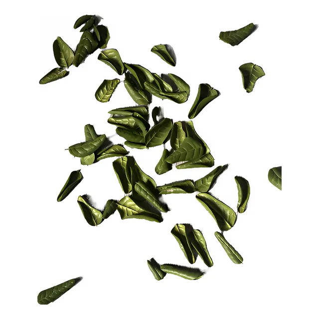 Hojas De Boldo 100% Natural 1 Kg