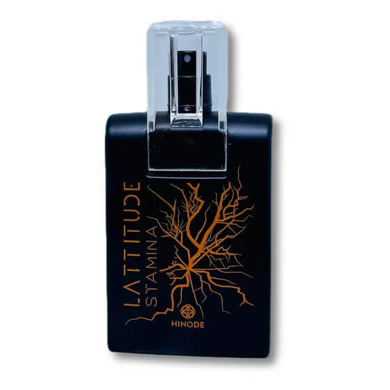 Perfume Masculino Lattitude Stamina EDP 100 mL