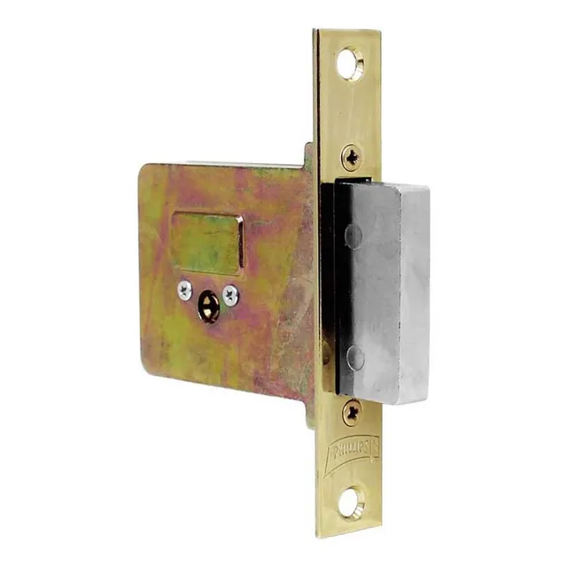 Cerradura Alta Seguridad X-1000 Latón Tetra Phillips