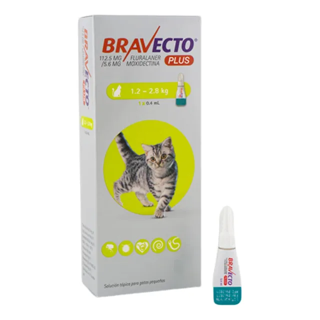 Bravecto Gato 