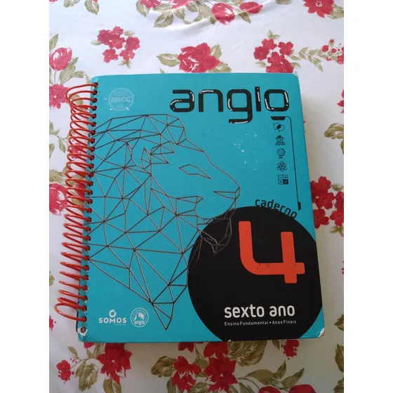 Apostila Anglo 6° Ano Caderno 4 Editora Somos Educação 