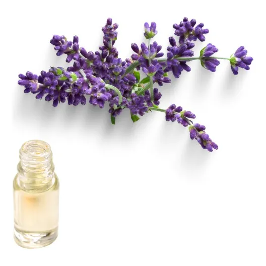 Esencias Aromas Para Velas De Soja Y Velas De Parafina
