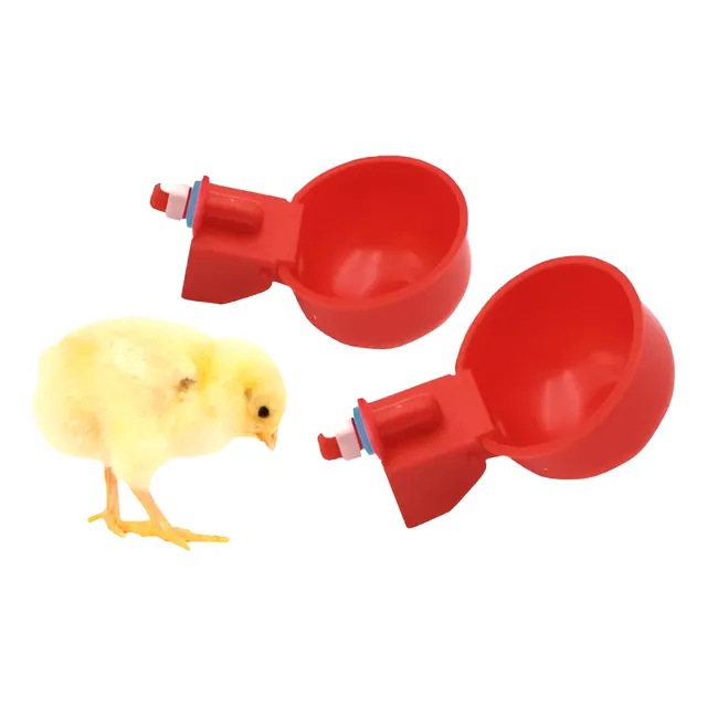Bebedero Taza Pollo Gallina X5 - Unidad a $5780