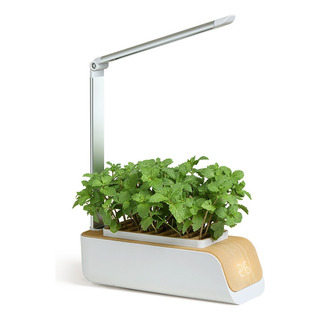 Sistema De Maceta Más Inteligente, Sistema De Cultivo Y Crec Sistema De Maceta Más Inteligente, Sistema De Cultivo Y Crec