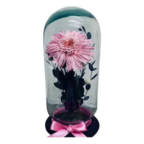 Gerbera Eterna 22 Cm Flor Preservada En Capelo Bala