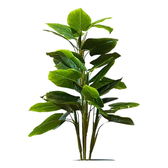 Arvore Planta Copo De Leite  Flores Realista Folhagem
