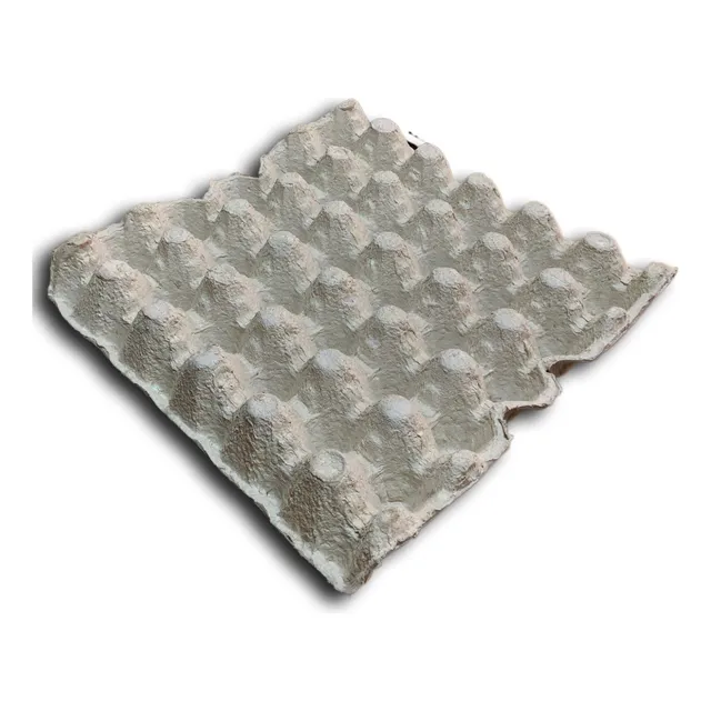 Maple De Huevo X30 Pack 100 Unidades