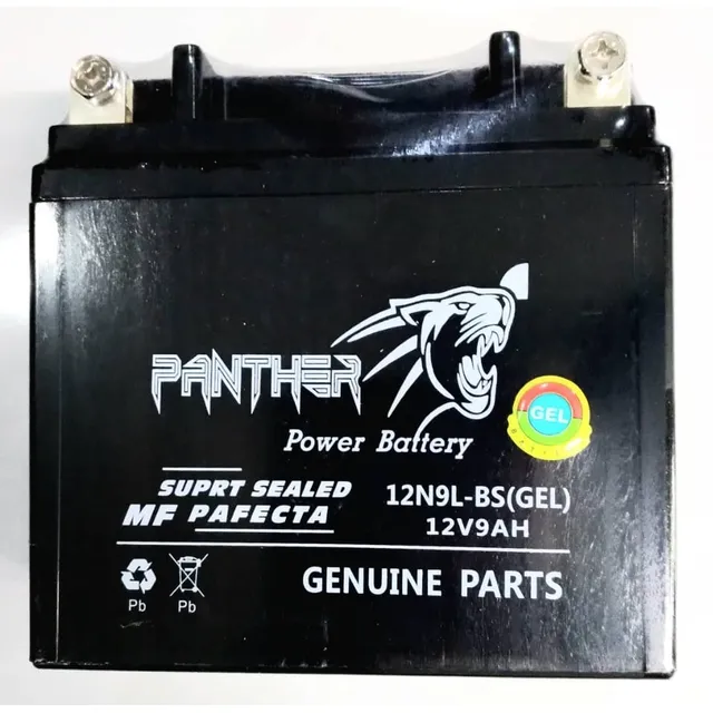Bateria Gn Arsen Rkv Speed200 12n9l-bs En Gel 