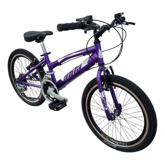 Bicicleta Todo Terreno Rin 20 En Acero 18 Velocidades, Aro Aluminio Doble Pared, Color Morado