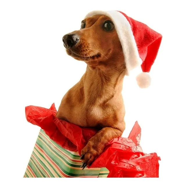 Combo Gorro Navideño Perro Bebe Navidad Peluche Elastico X5