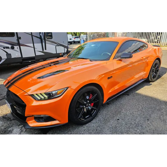 Ford Mustang Gt Mustang Gt Mustang Gt 5.0
