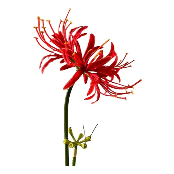 Lycoris Radiata 4 Tallos De 2638 Pulgadas Flores Artificiale