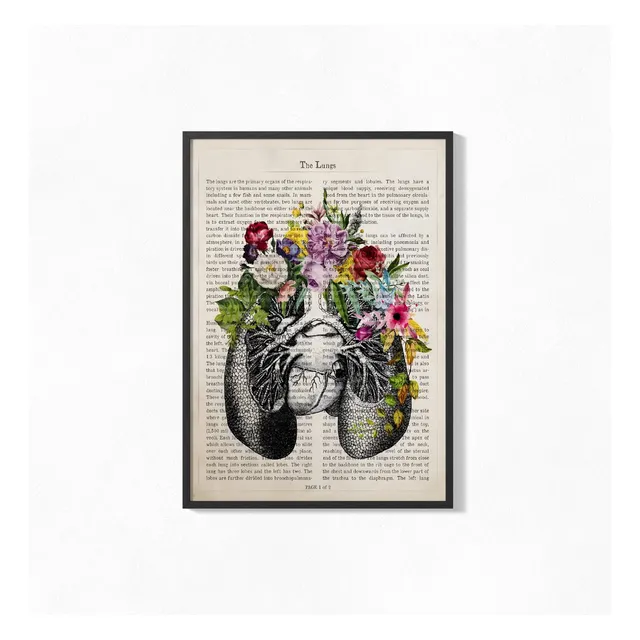 Cuadro Poster 20x30 Artes Anatomia Y Flores