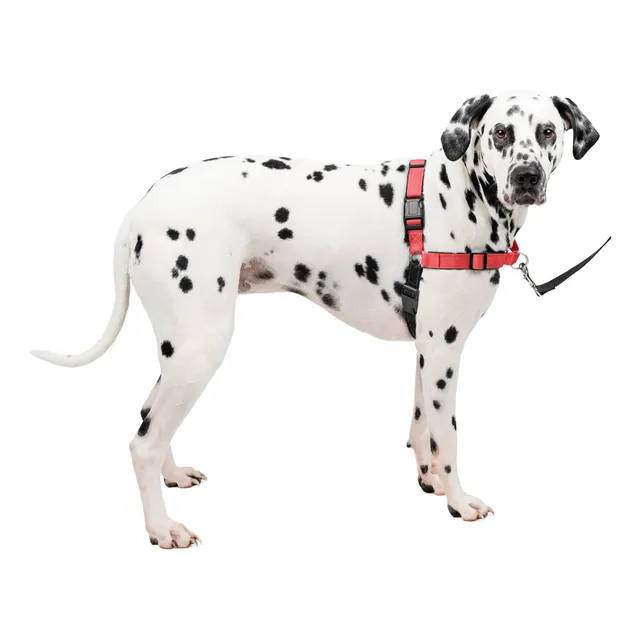 Arnés Para Perros Petsafe® Deluxe Easy Walk® Sin Tirones, Ro