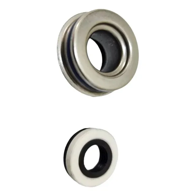Sello De Bomba De Agua Italika Vort-x 300 E10020044