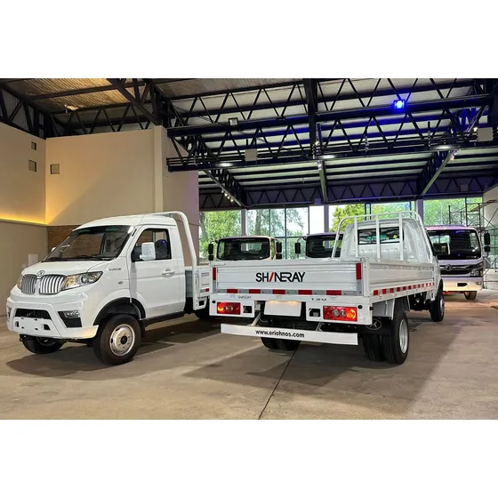 Shineray T30 T30 Minitruck Cab Simple