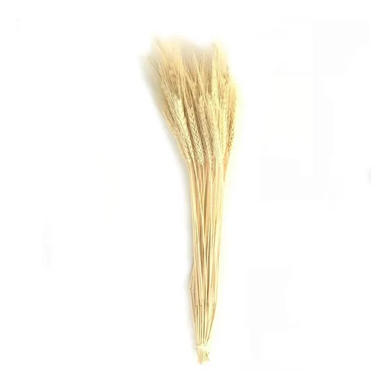 Trigo Galho Seco Planta Artificial Decoração 100 Uni + 50 