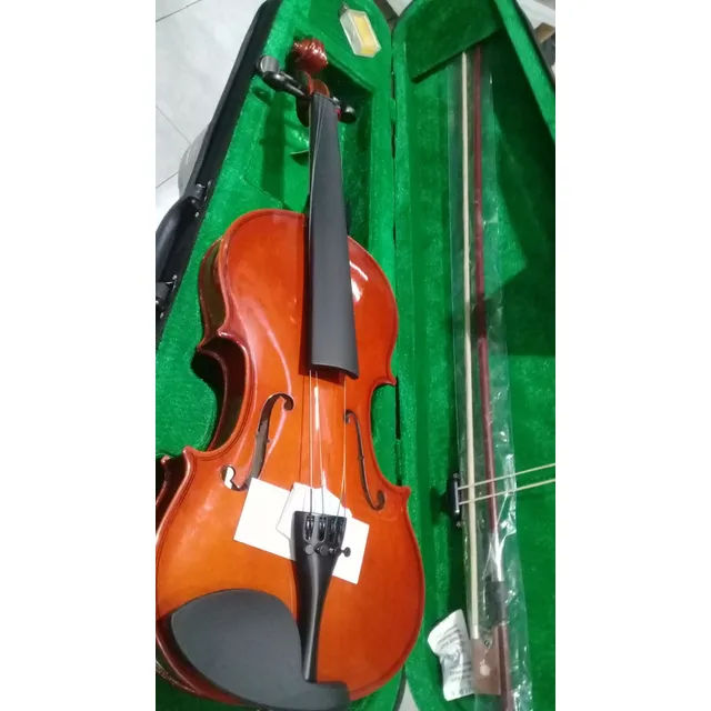 Violin