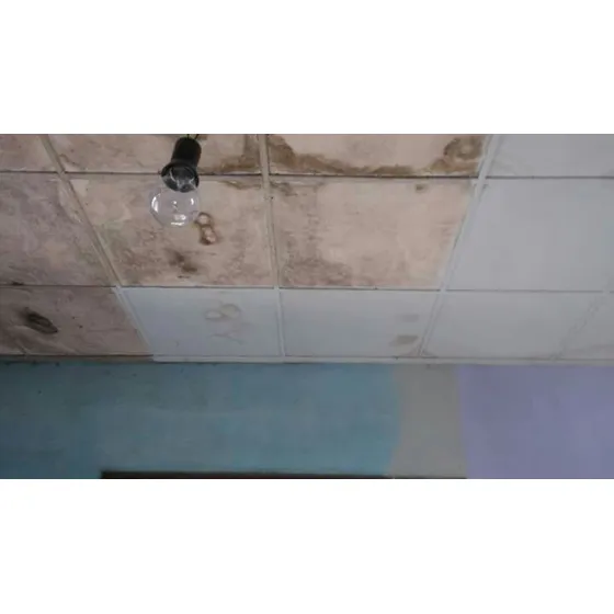Cielorraso Pvc