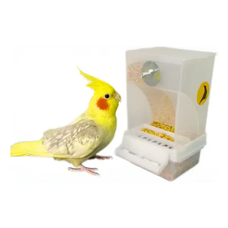 Comedouro De Sementes Para Calopsitas Automatico Fim Sujeira Branco