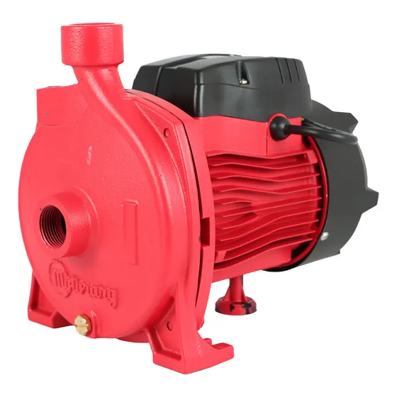 Bomba Agua Centrífuga Motorarg Bc100 1hp