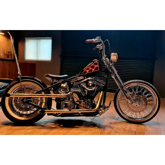 Harley Davidson Softail