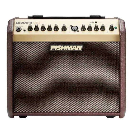 Amplificador Guitarra Acustica Fishman Loudbox 60w Bluetooth