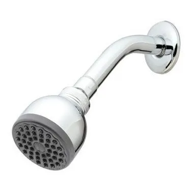 Regadera Cebolla Con Brazo/roseta Bm Cod: 5010028