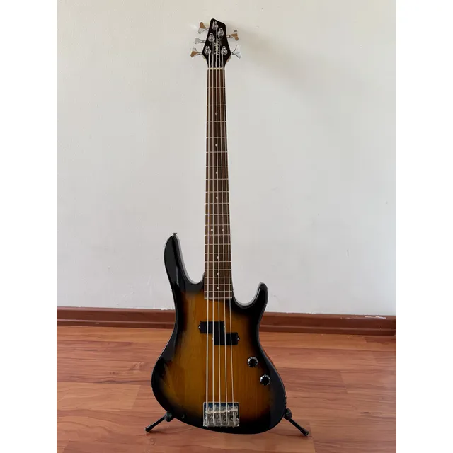 Bajo 5 Cuerdas Pasivo Washburn Xb-105