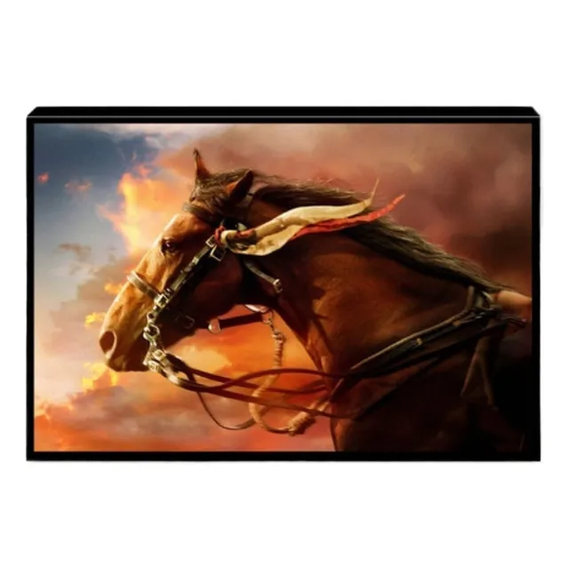 Hh- F Pintura De Diamantes 5d Diy 60x40cm - Caballos