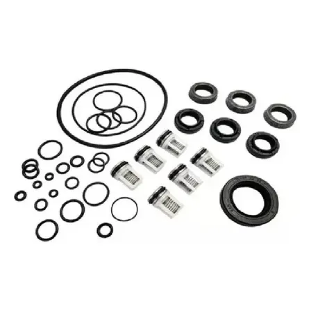 Reparo Karcher Hd 585 Com Válvulas Gaxetas Original