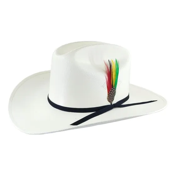 Sombrero Vaquero Estilo Carin León 