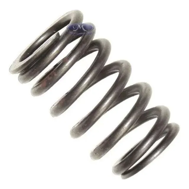 Válvula Motor Ford 7s6g6513aa - Mola Zetec Rocam