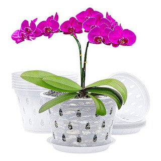 , C Kit De 5 Macetas Rígidas Transparentes - Orquídeas , C Kit De 5 Macetas Rígidas Transparentes - Orquídeas