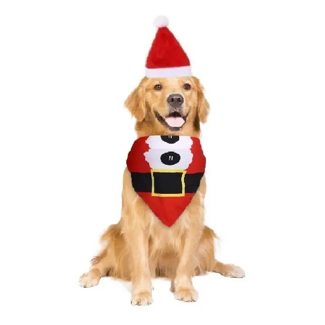 Disfraz Mascota Perro Gorro Pañuelo Santa Navidad Papa Noel