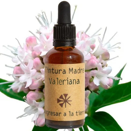 Tintura Madre De Valeriana 50ml | Tradición Herbal