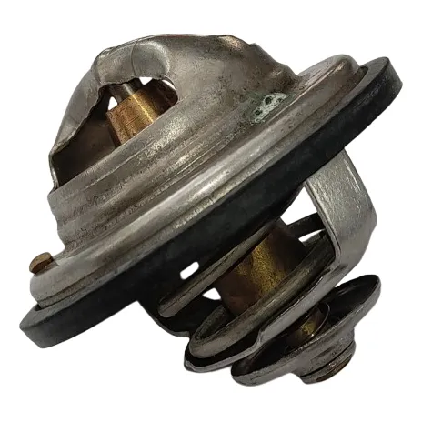 Termostato Motor Iveco 8060.25, Tractor Cosechadora Camión 