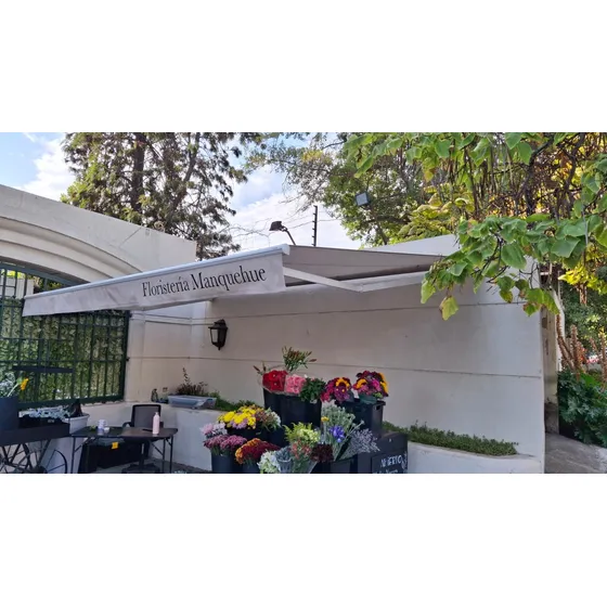 Toldo Eléctrico Terraza, Poco Uso, Impecable. 5 Mts. X 3mts.