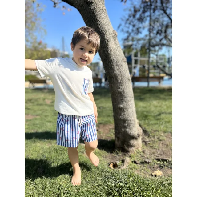 Conjunto Niño Short Y Polera 100% Algodón Alfonsino