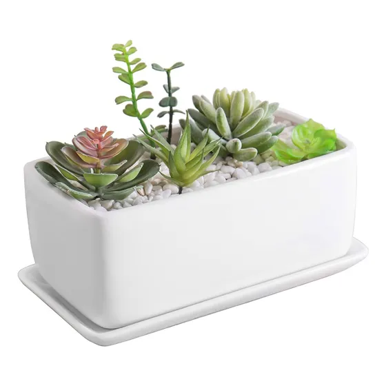 Maceta De Cerámica Rectangular Para Suculentas De 25cm