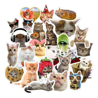 Gatitos 50stickers Gatos 50 Calcomanias Stickers Gato Viral Gatitos 50stickers Gatos 50 Calcomanias Stickers Gato Viral