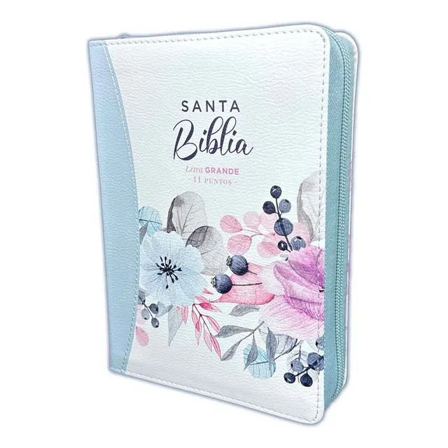 Biblia Con Cierre Compacta 11 Ptos Rv1960 Imit. Piel