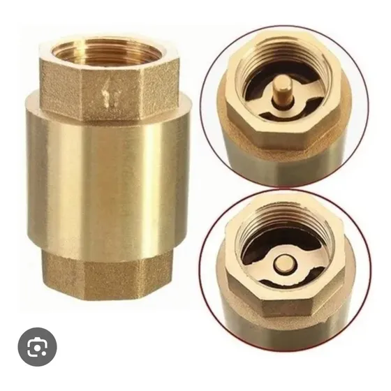 Válvula Check Tipo Europa Belt-g 2  3  4 