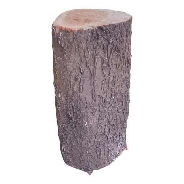 Tronco Cipres Madera Para Artesania