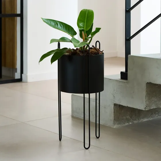 Porta Maceta Minimalista. Macetero En Hierro. 1ra Calidad !